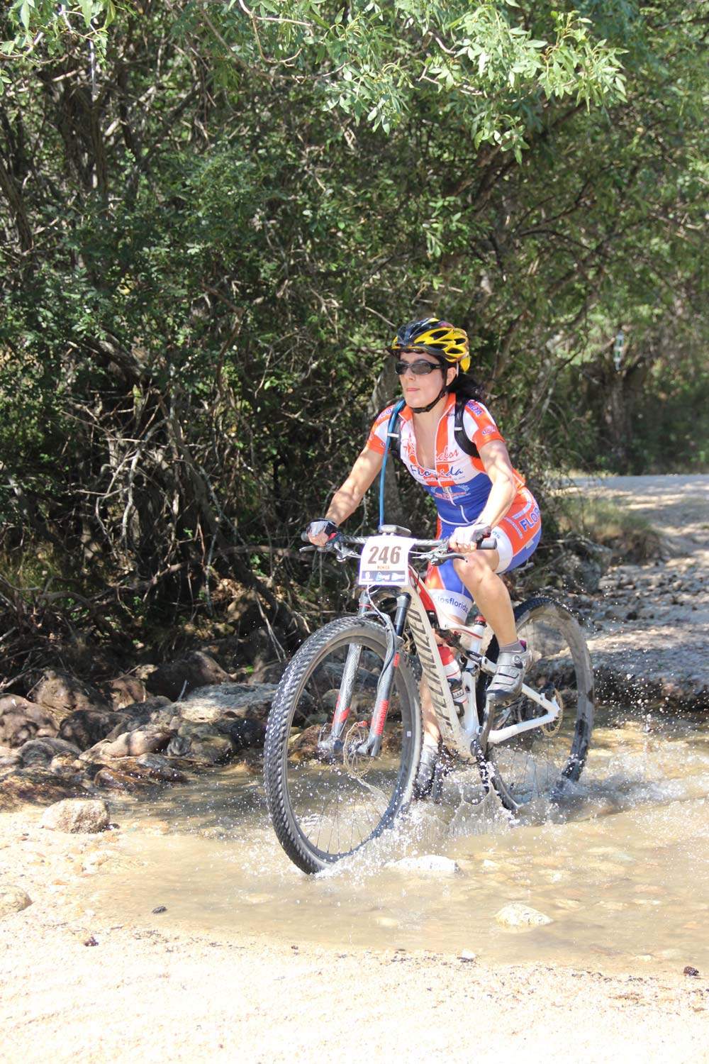 Scott 7 Estrellas Soto del Real 2015 Galeria 9