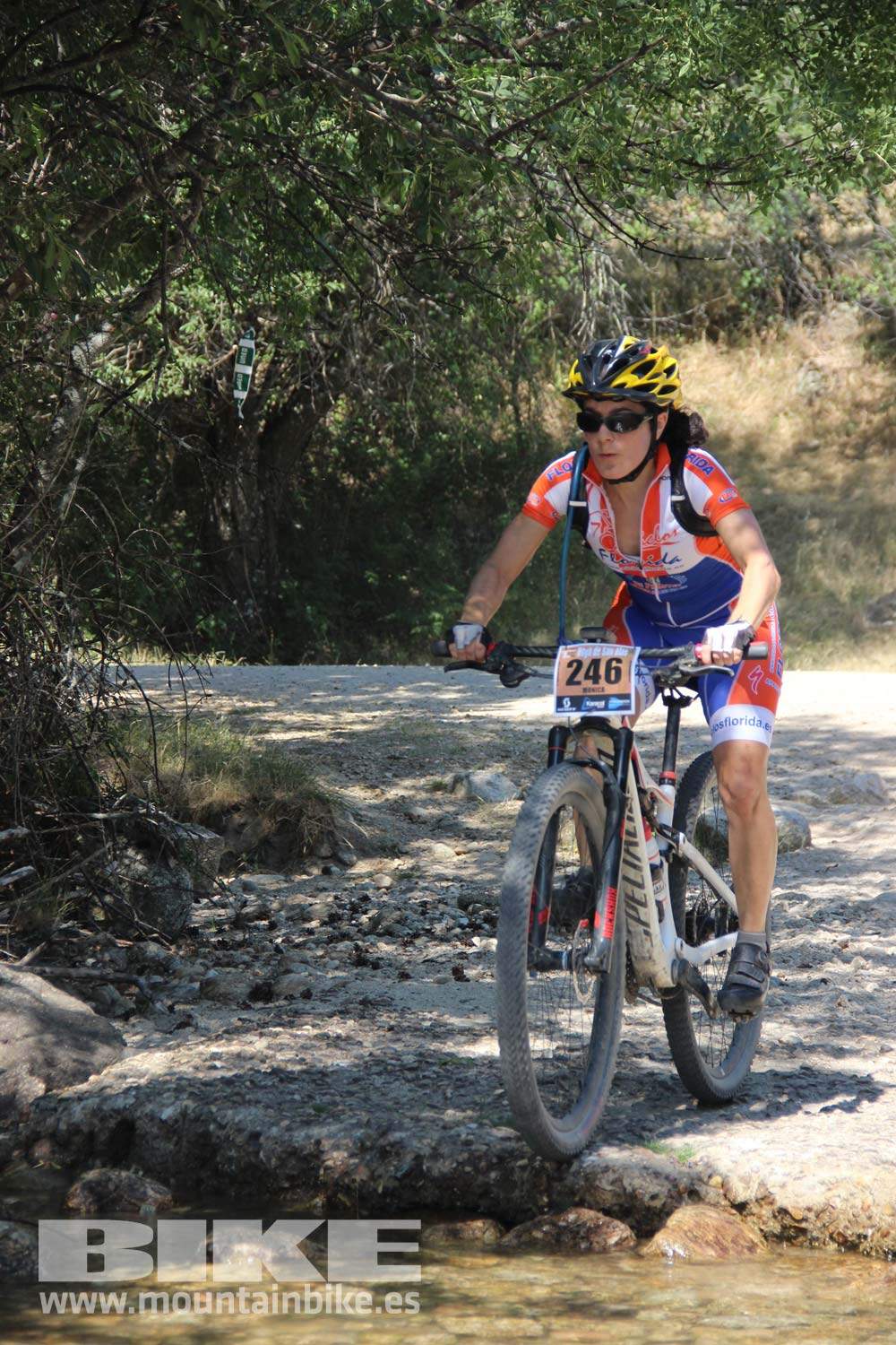 Scott 7 Estrellas Soto del Real 2015 Galeria 9