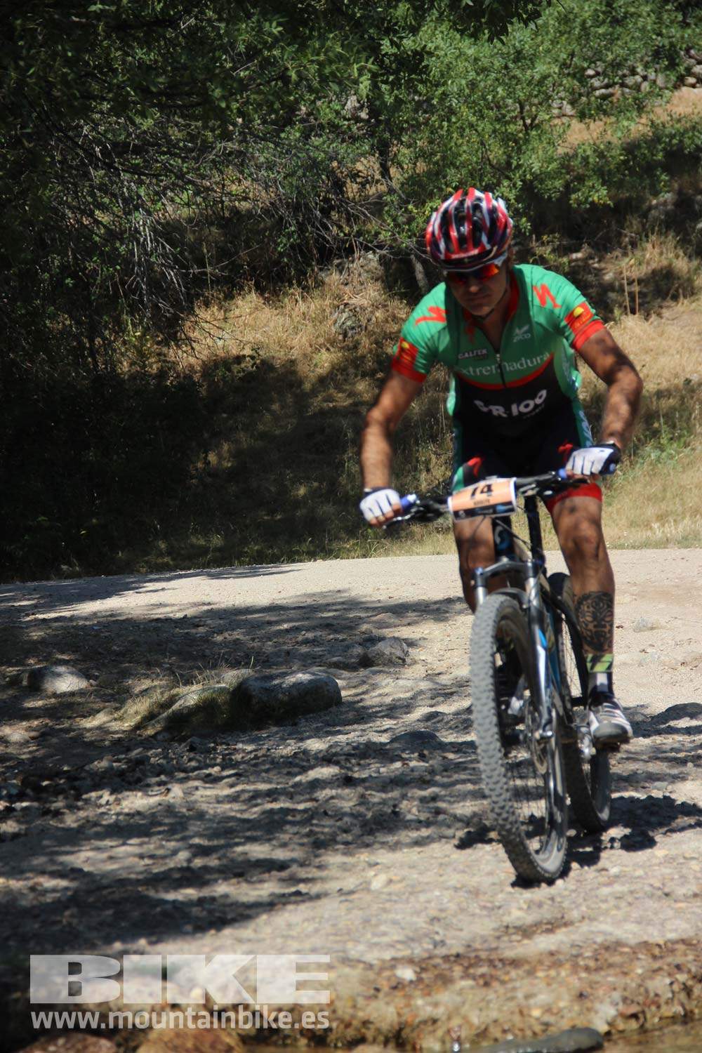 Scott 7 Estrellas Soto del Real 2015 Galeria 9
