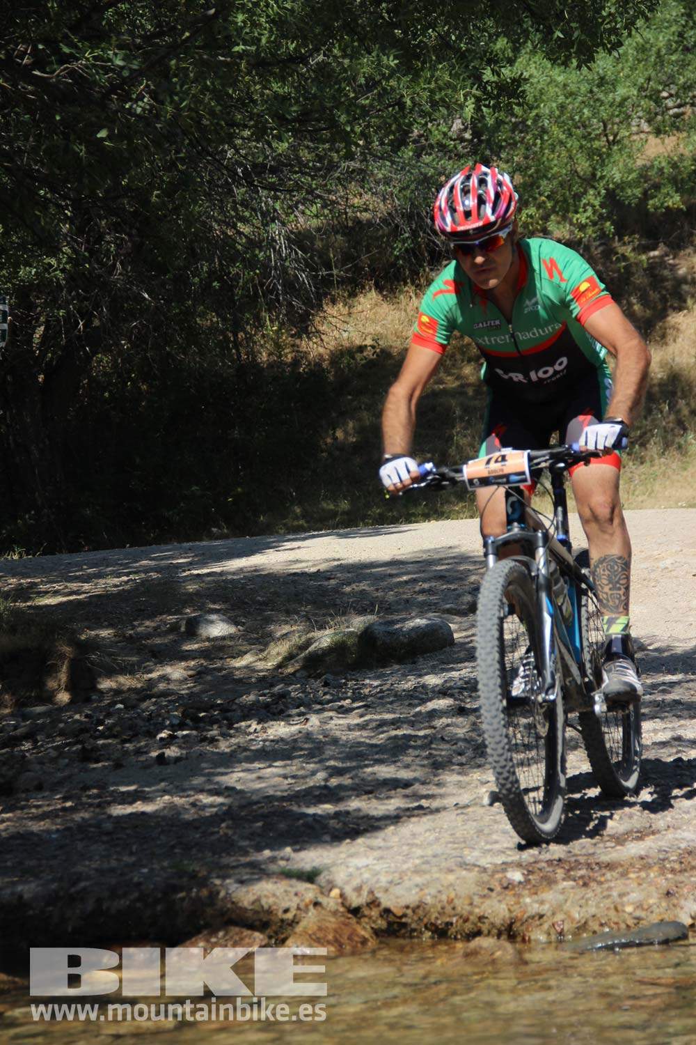 Scott 7 Estrellas Soto del Real 2015 Galeria 9