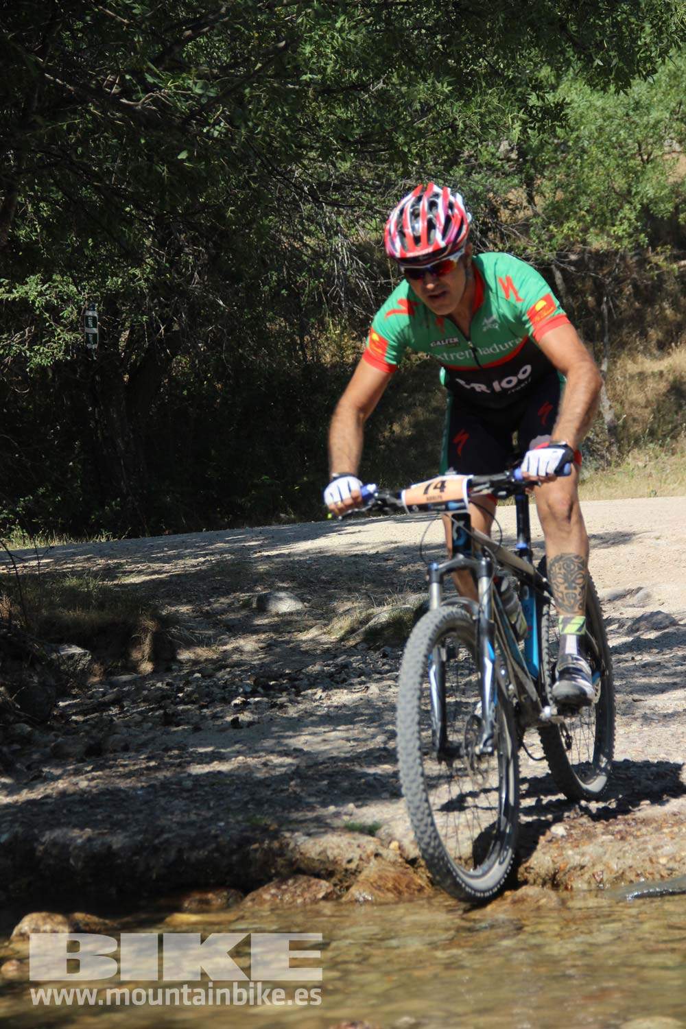 Scott 7 Estrellas Soto del Real 2015 Galeria 9