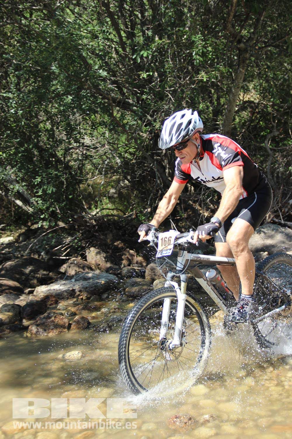 Scott 7 Estrellas Soto del Real 2015 Galeria 9