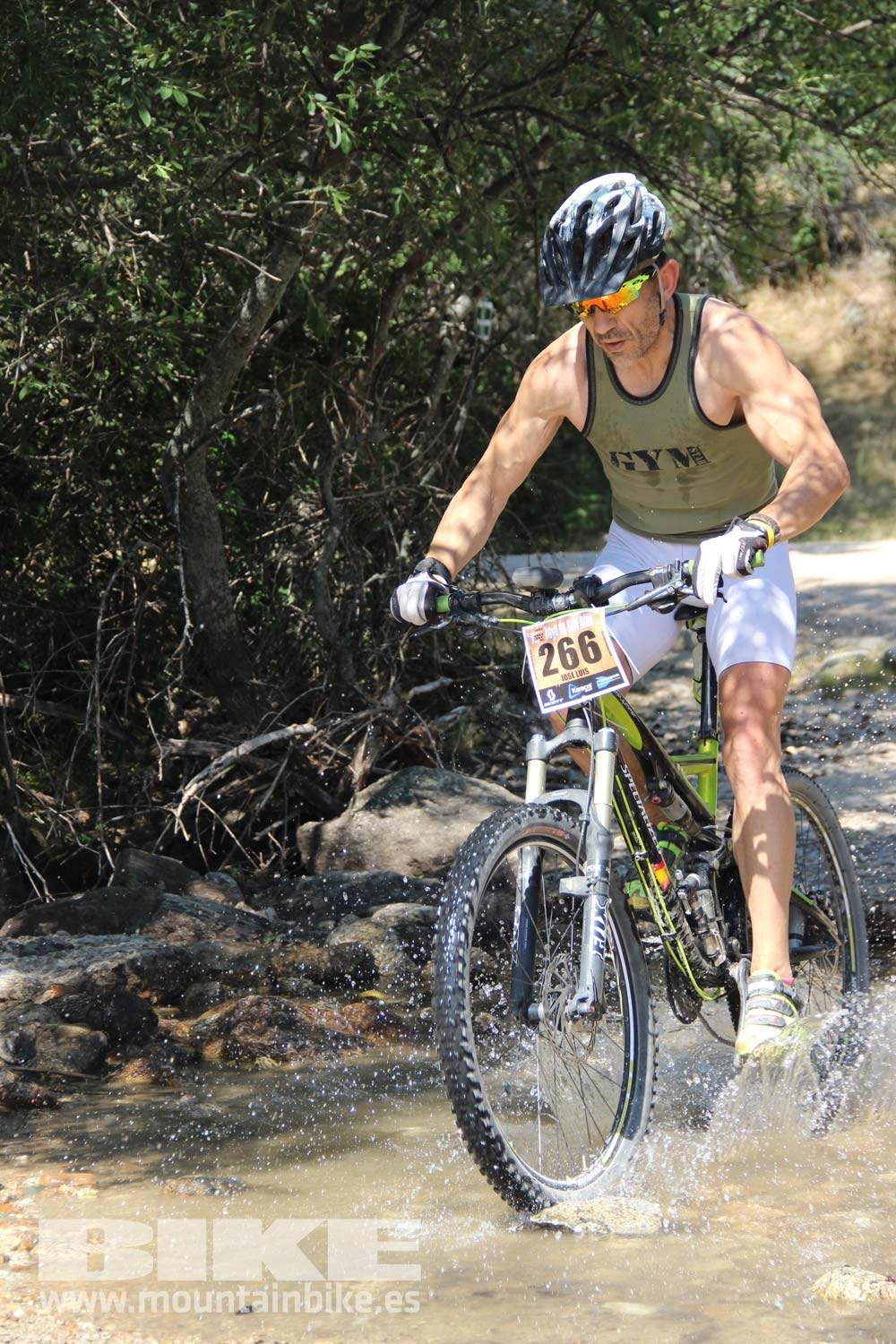 Scott 7 Estrellas Soto del Real 2015 Galeria 9