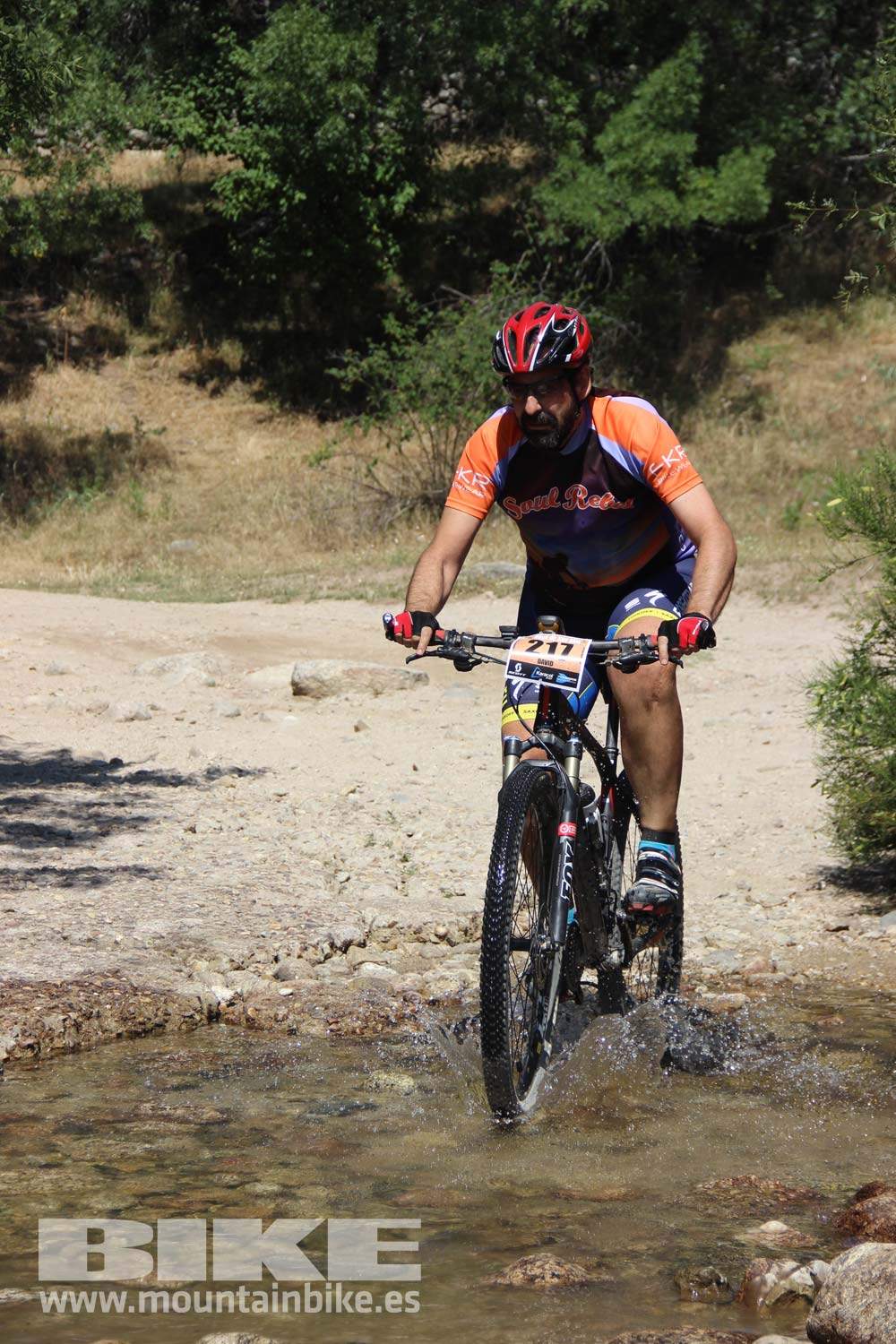 Scott 7 Estrellas Soto del Real 2015 Galeria 10