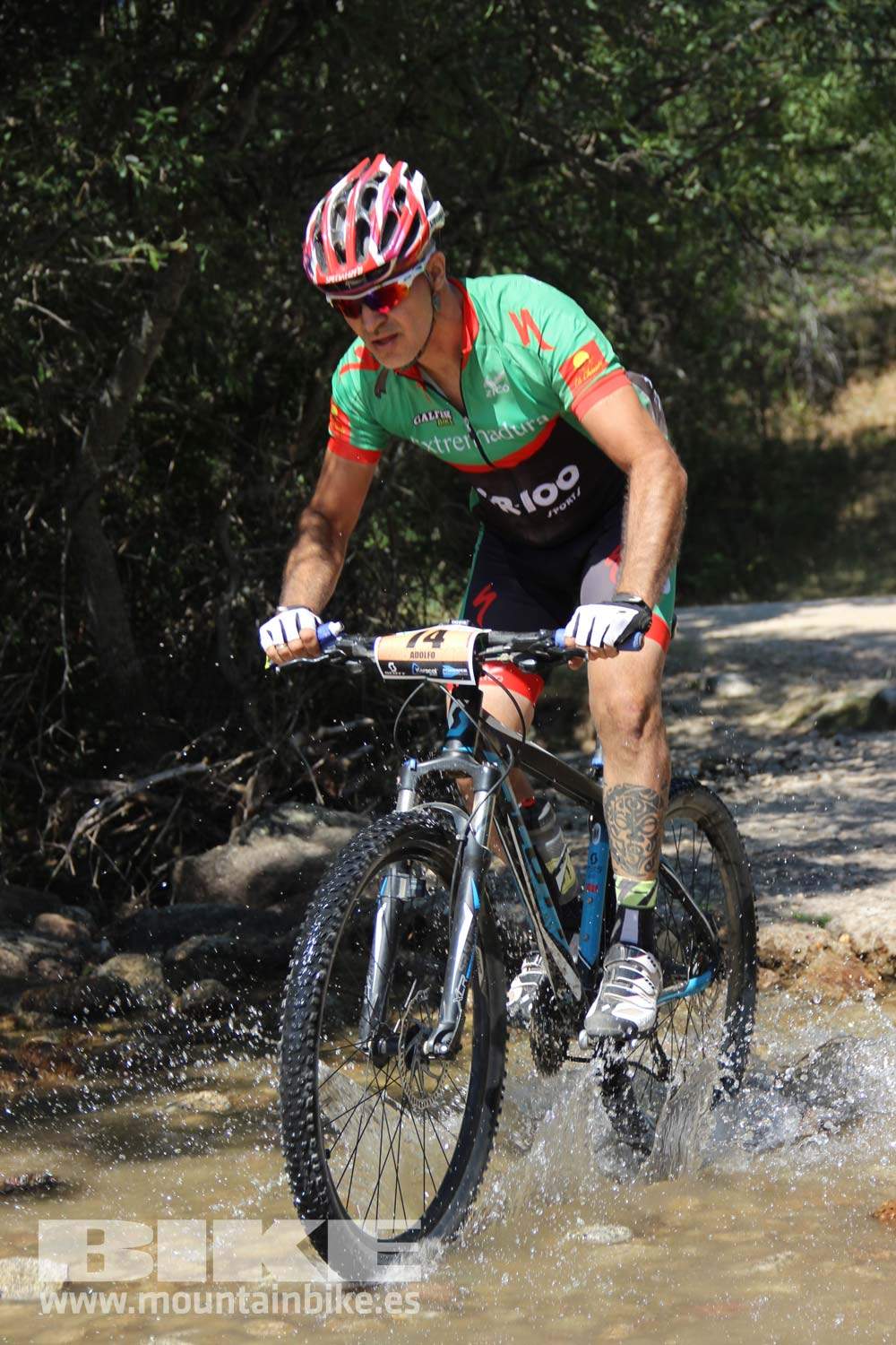 Scott 7 Estrellas Soto del Real 2015 Galeria 9