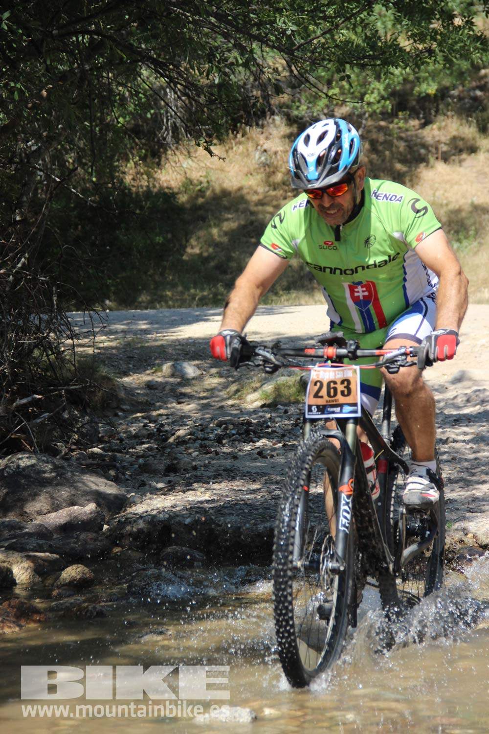Scott 7 Estrellas Soto del Real 2015 Galeria 10