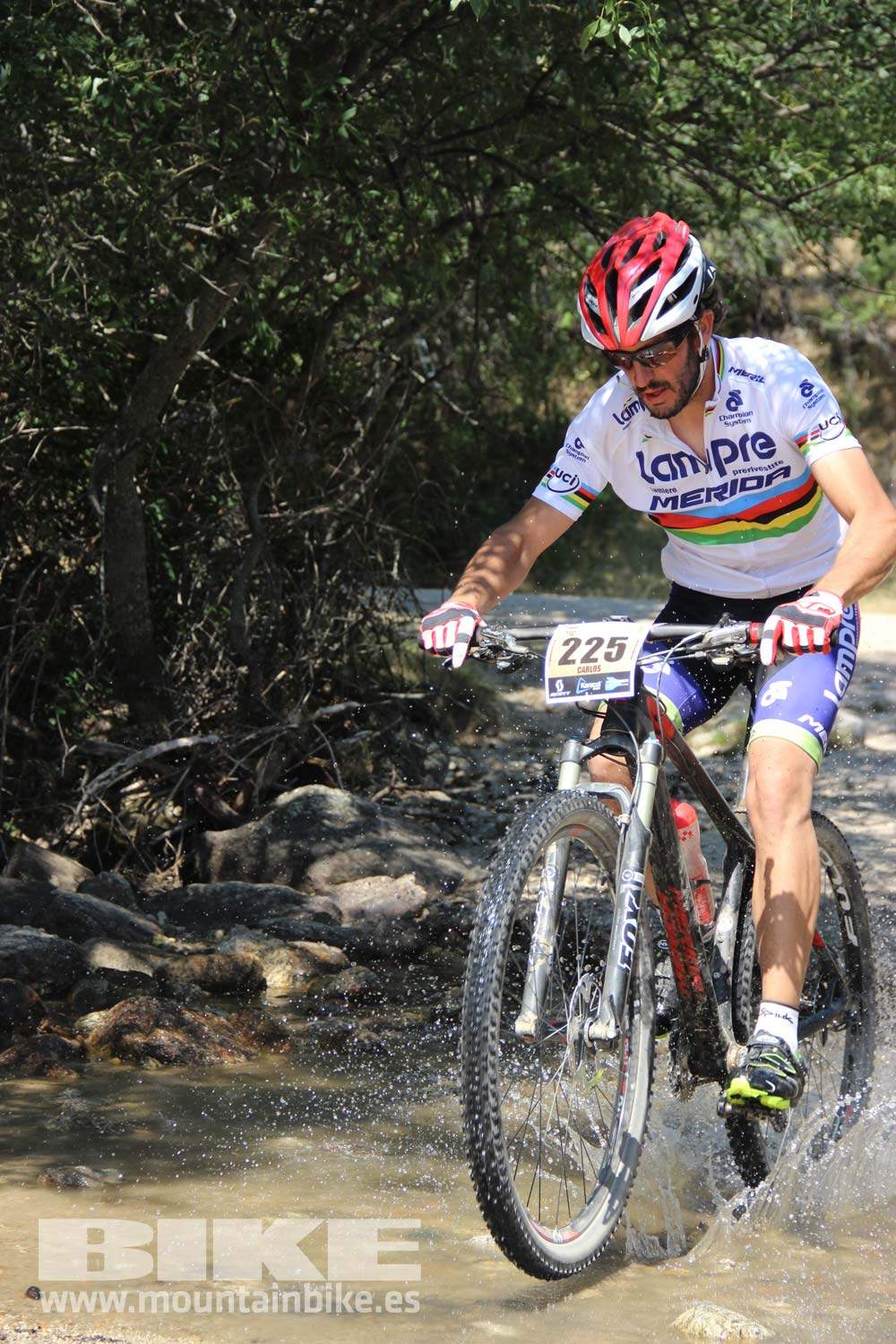 Scott 7 Estrellas Soto del Real 2015 Galeria 10