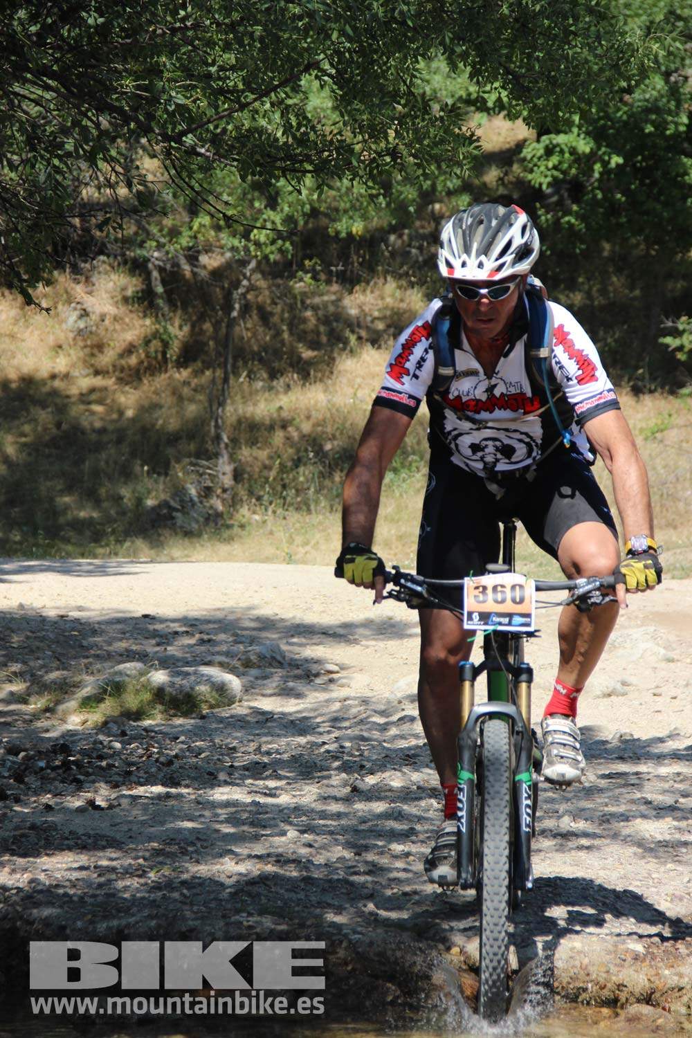 Scott 7 Estrellas Soto del Real 2015 Galeria 10