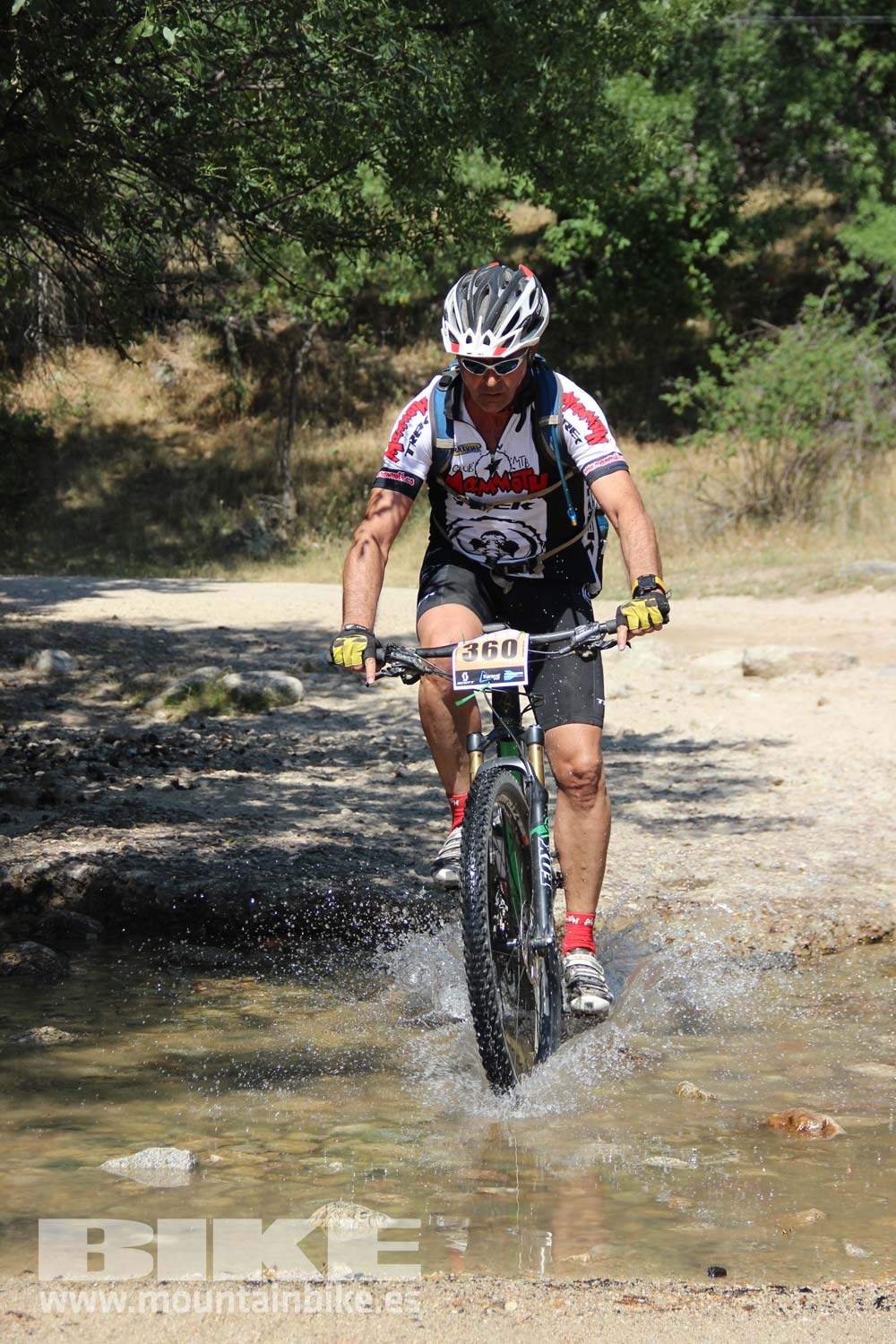 Scott 7 Estrellas Soto del Real 2015 Galeria 10