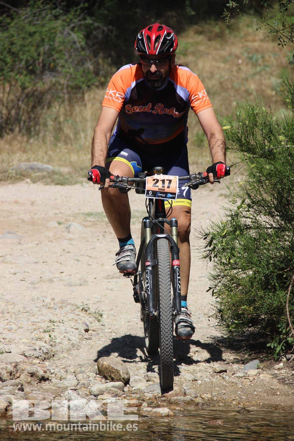 Scott 7 Estrellas Soto del Real 2015 Galeria 10