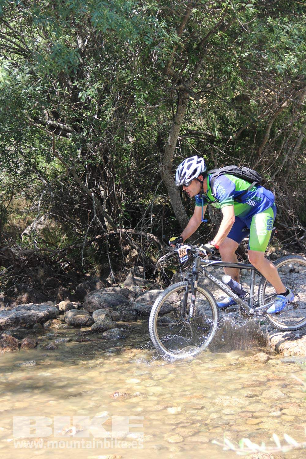 Scott 7 Estrellas Soto del Real 2015 Galeria 11