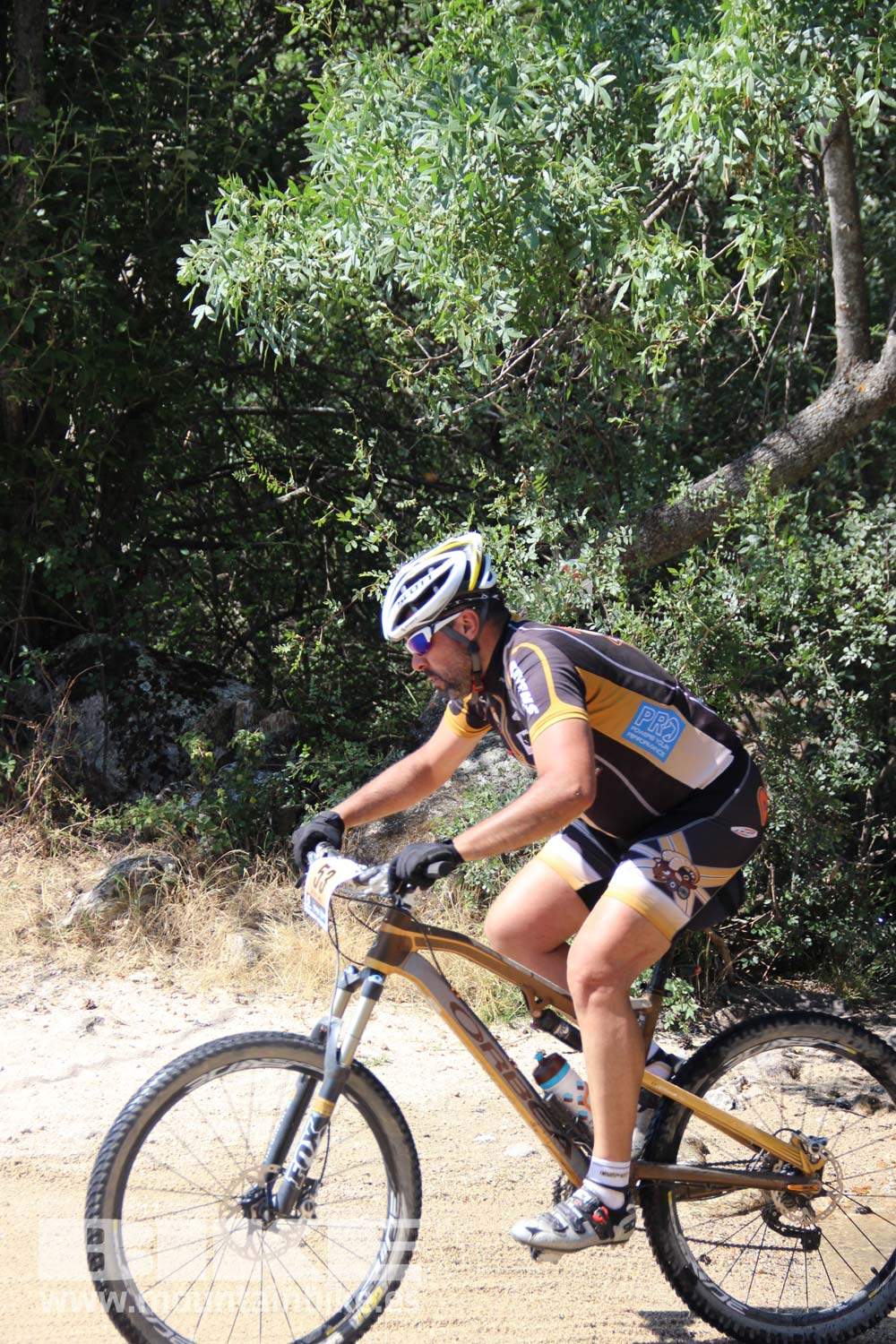 Scott 7 Estrellas Soto del Real 2015 Galeria 11