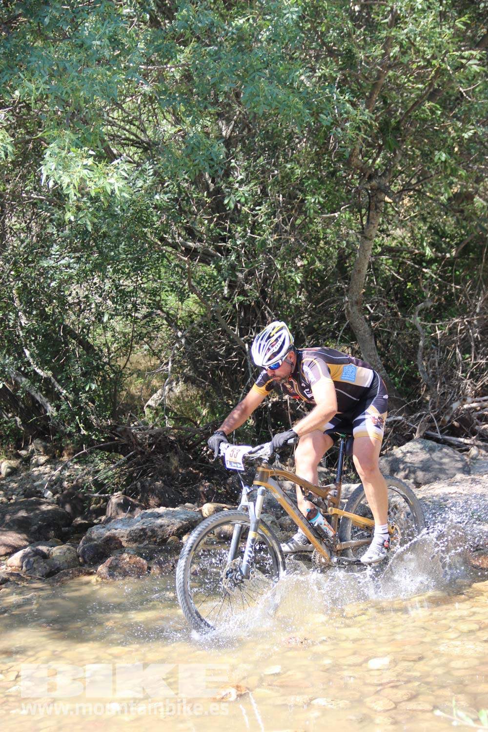 Scott 7 Estrellas Soto del Real 2015 Galeria 11