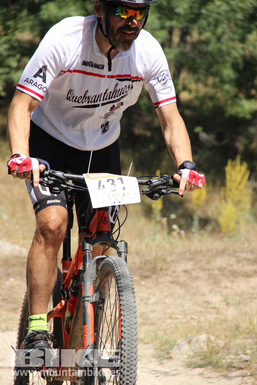 Scott 7 Estrellas Soto del Real 2015 Galeria 11