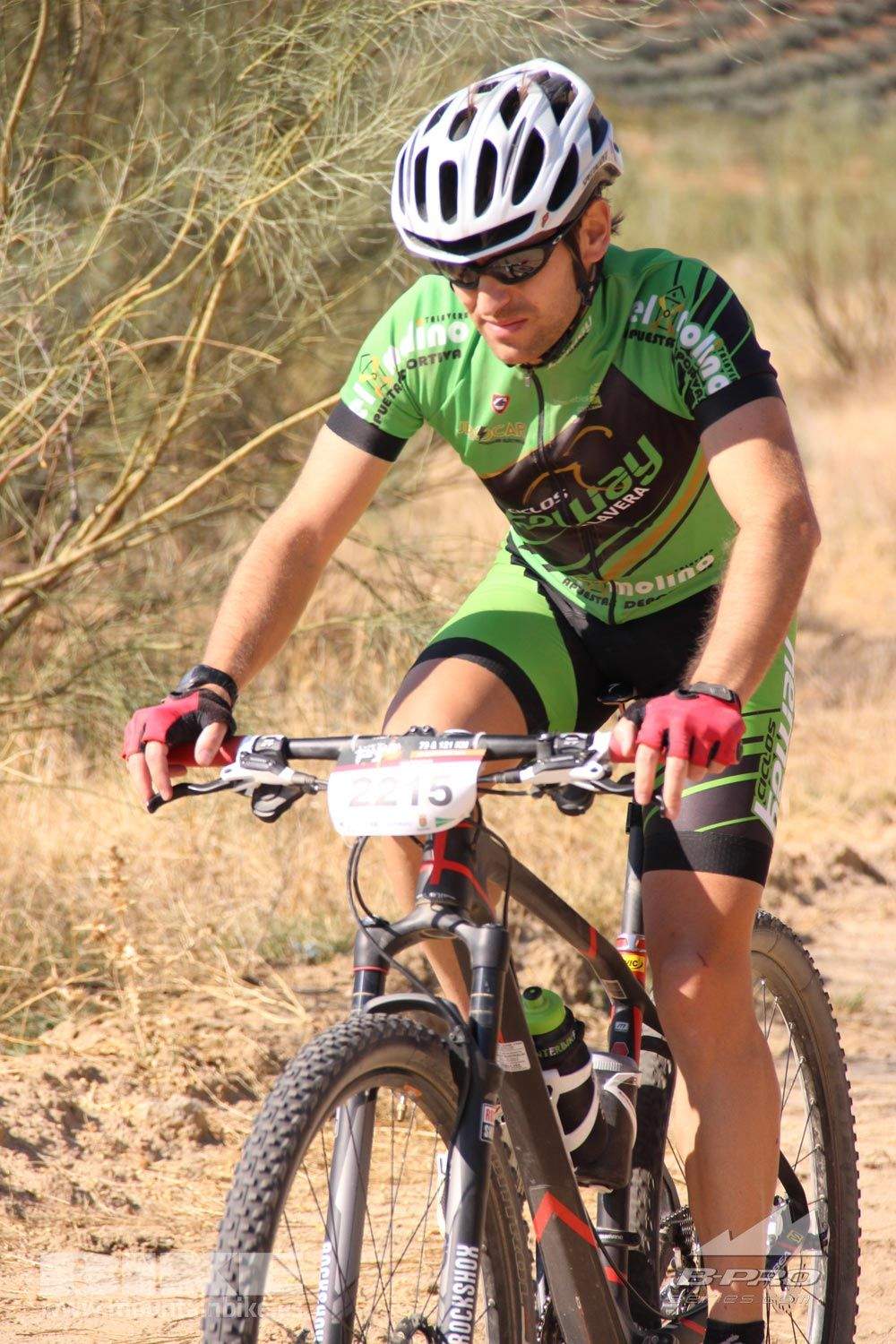 TALAJARA 2015 Galeria 1