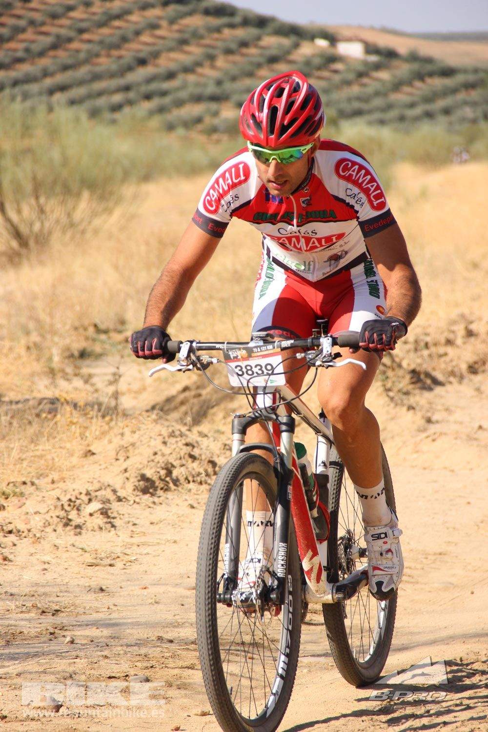 TALAJARA 2015 Galeria 1