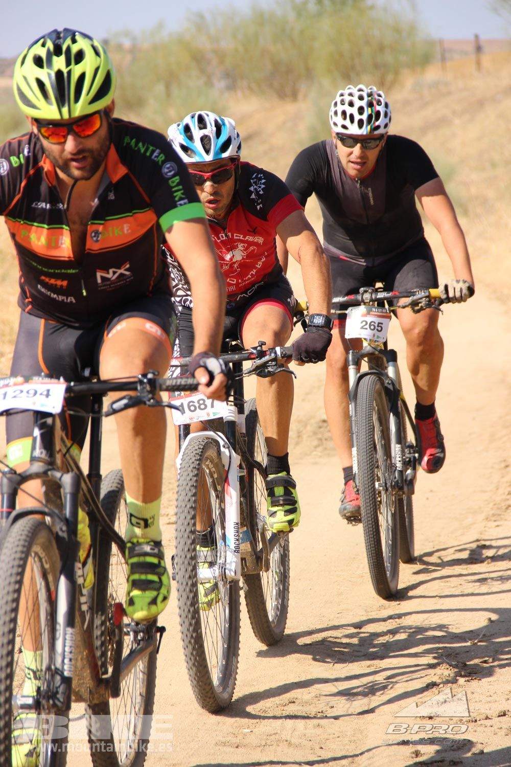 TALAJARA 2015 Galeria 1