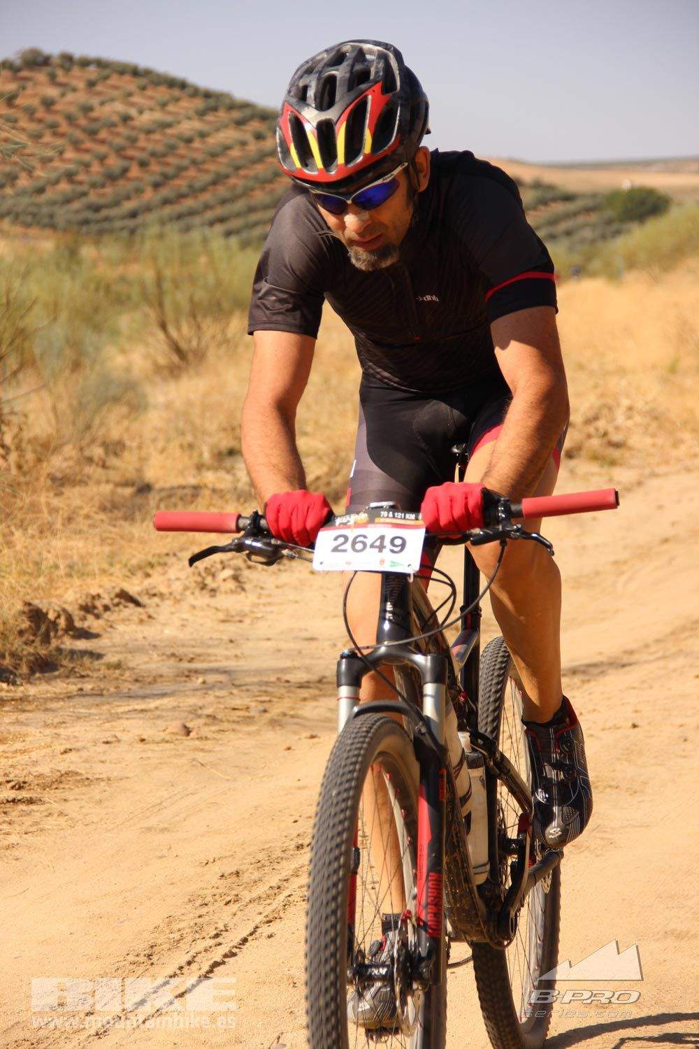 TALAJARA 2015 Galeria 1