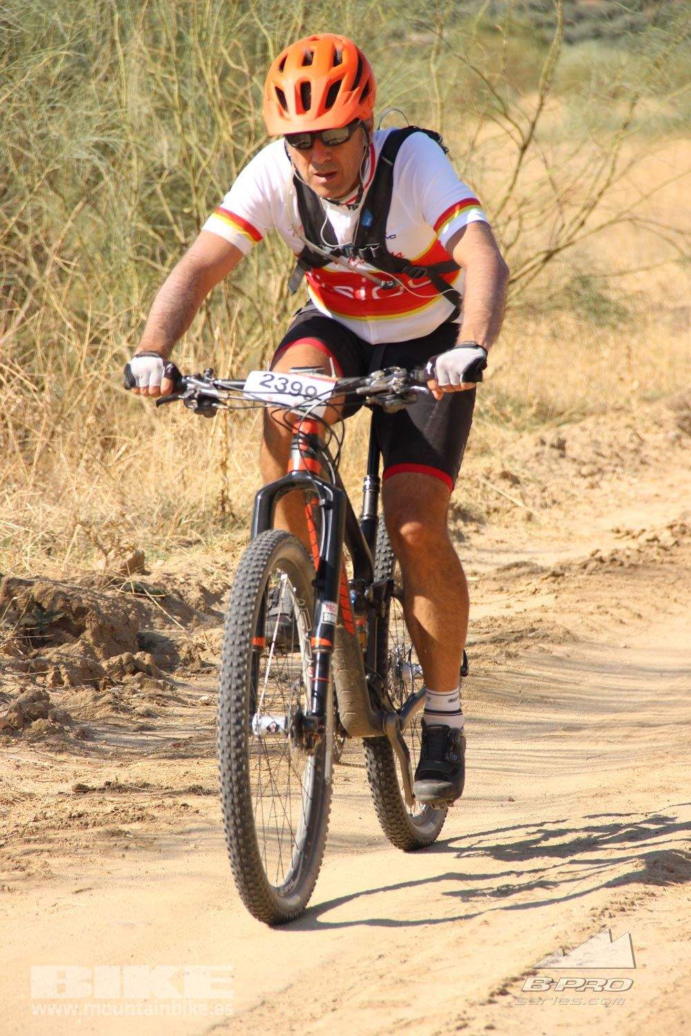 TALAJARA 2015 Galeria 1