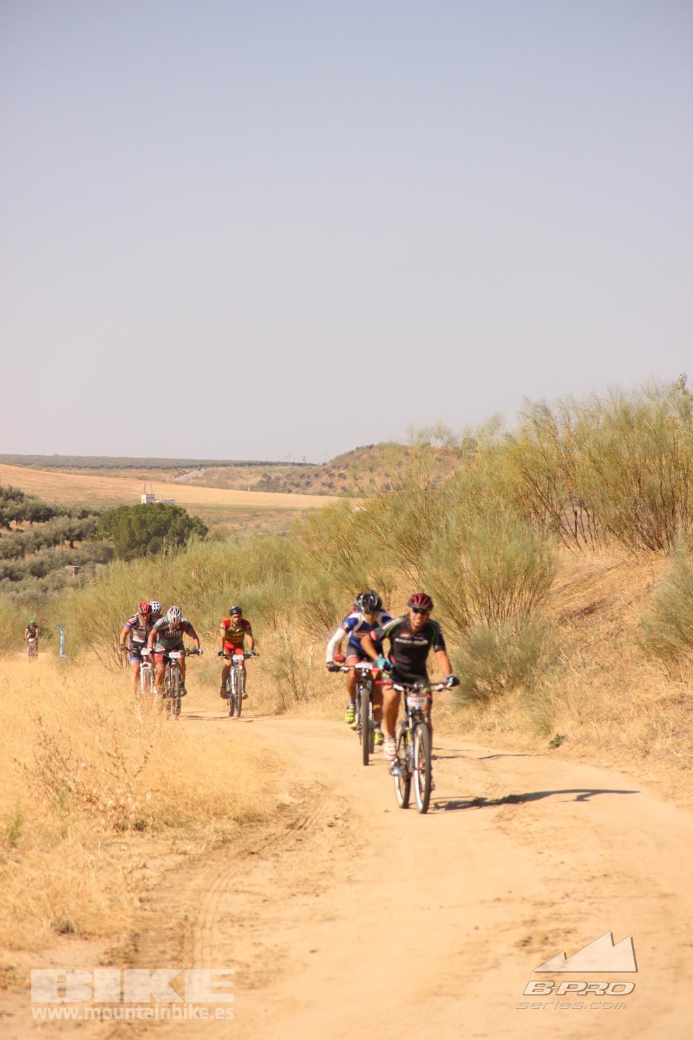 TALAJARA 2015 Galeria 1