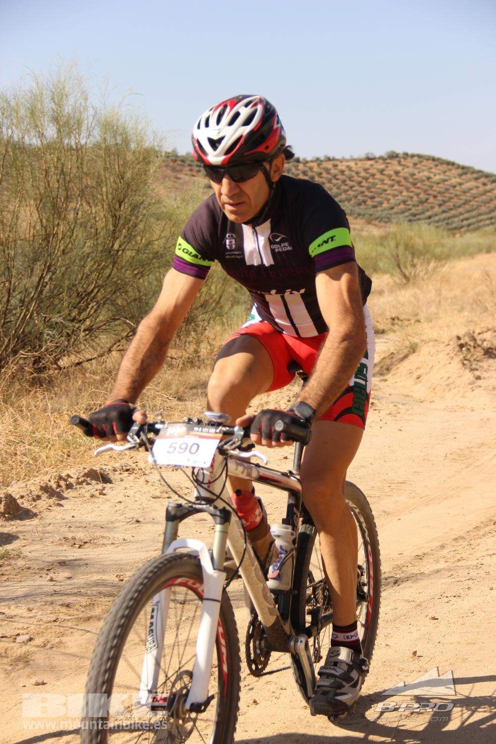 TALAJARA 2015 Galeria 1