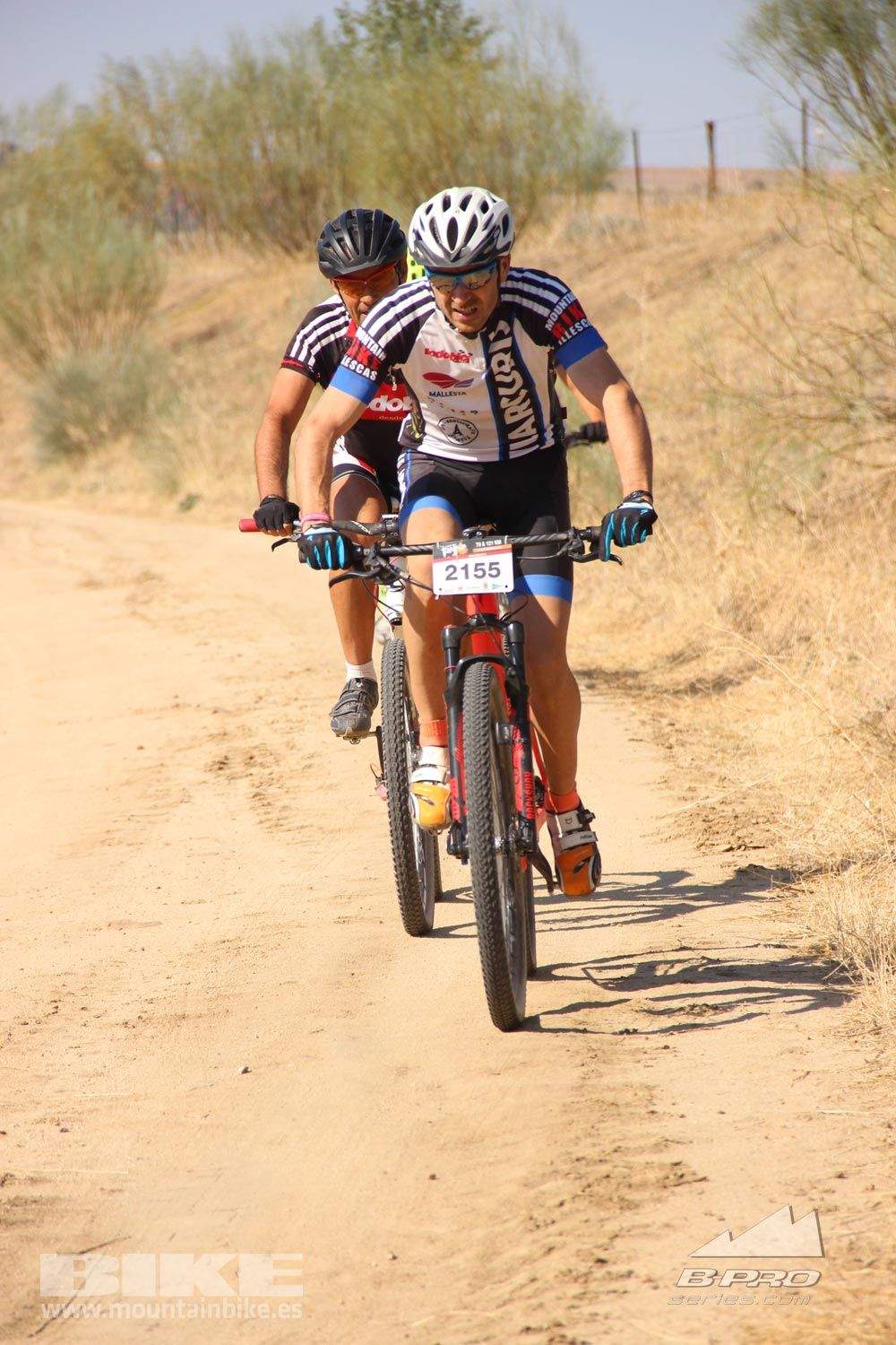 TALAJARA 2015 Galeria 1