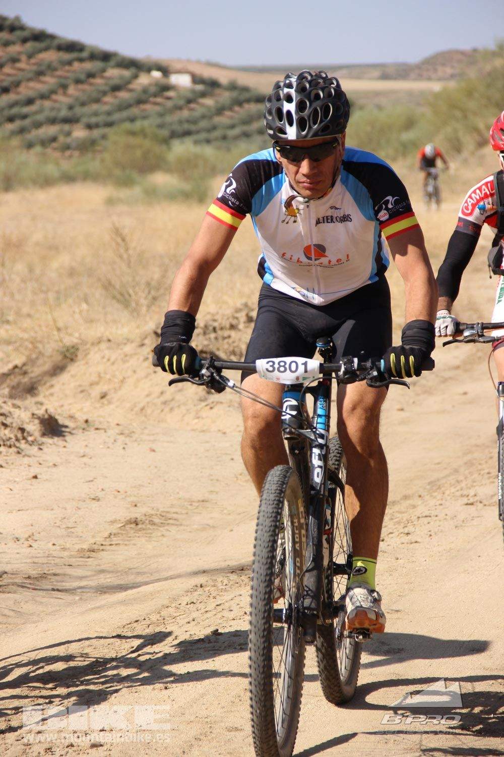 TALAJARA 2015 Galeria 1