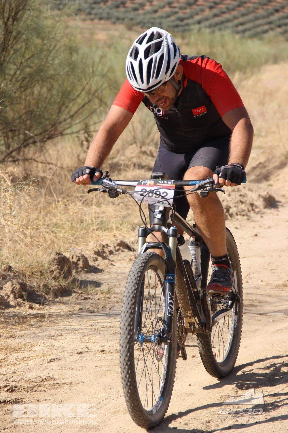 TALAJARA 2015 Galeria 1