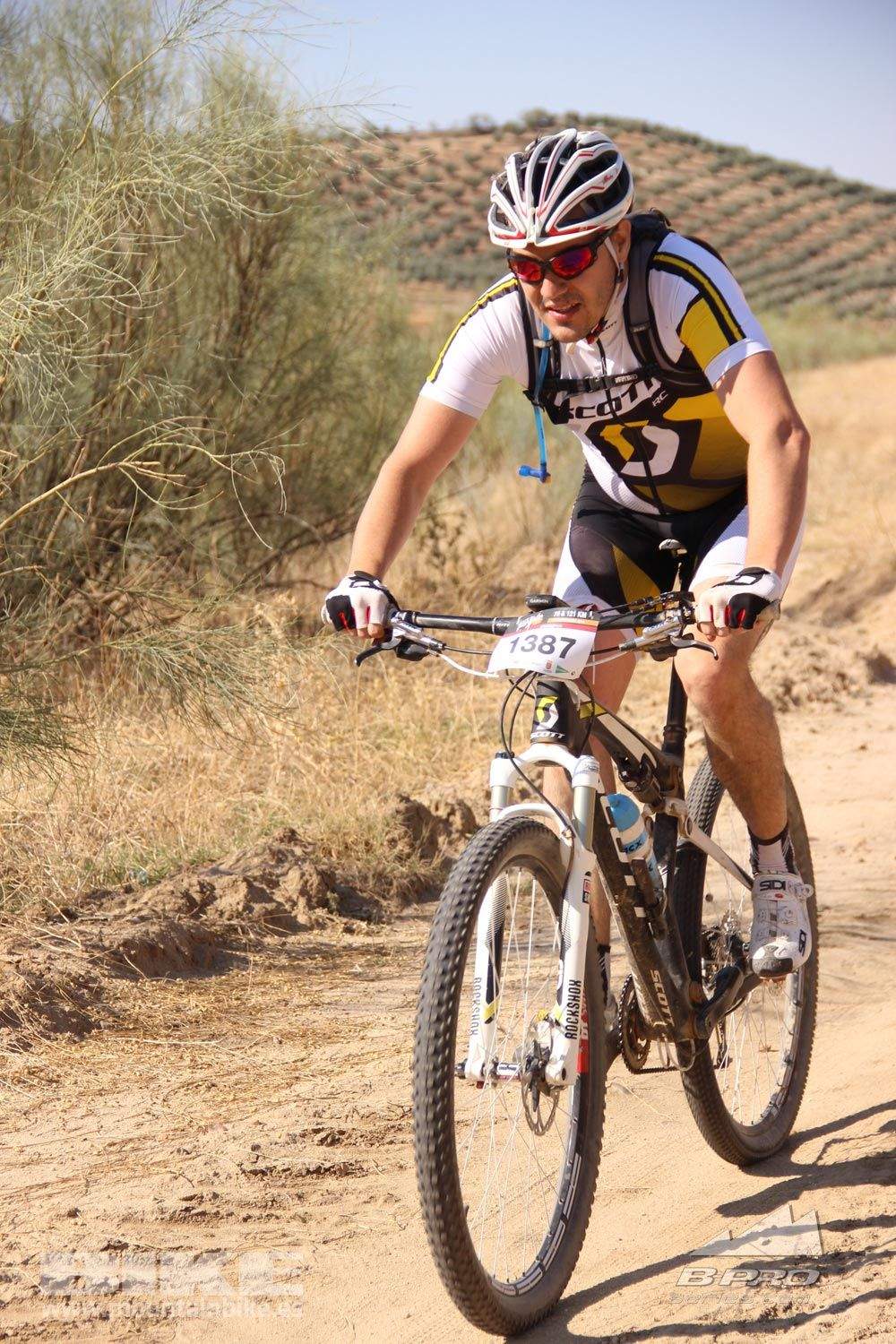 TALAJARA 2015 Galeria 1