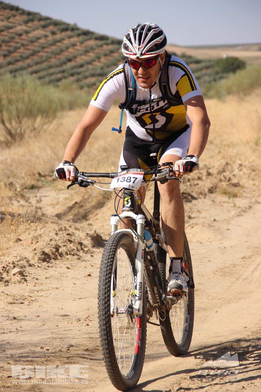 TALAJARA 2015 Galeria 1