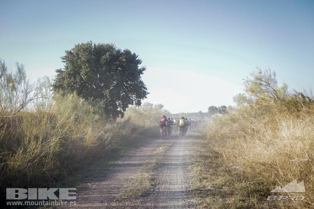 TALAJARA 2015 Galería 3