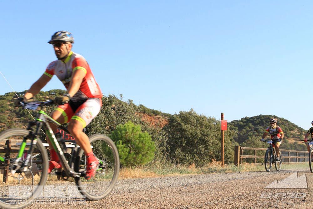 TALAJARA 2015 Galería 21