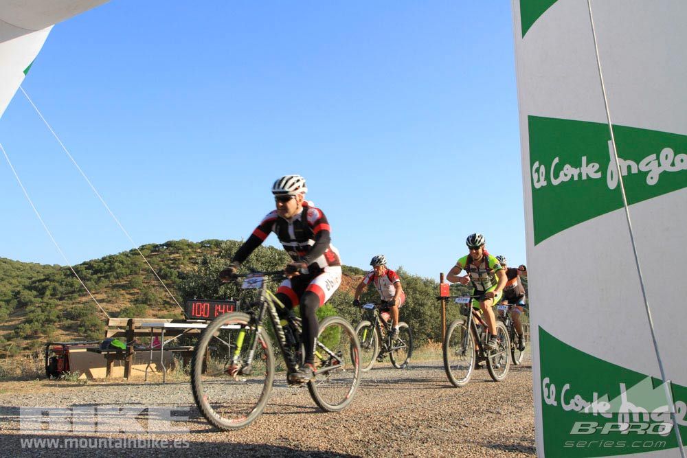 TALAJARA 2015 Galería 21