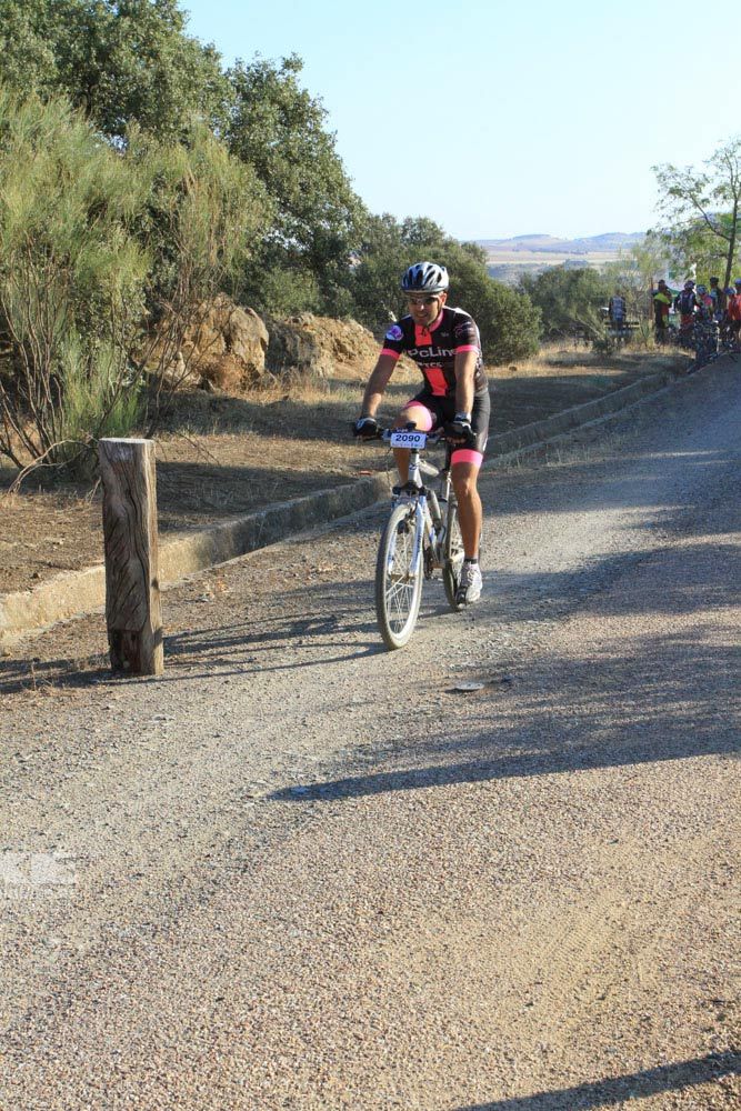 TALAJARA 2015 Galería 22