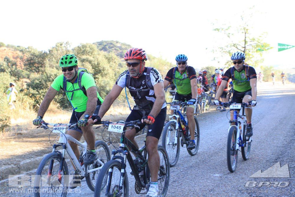 TALAJARA 2015 Galería 22