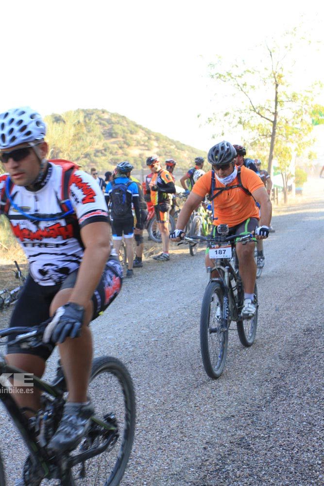 TALAJARA 2015 Galería 22