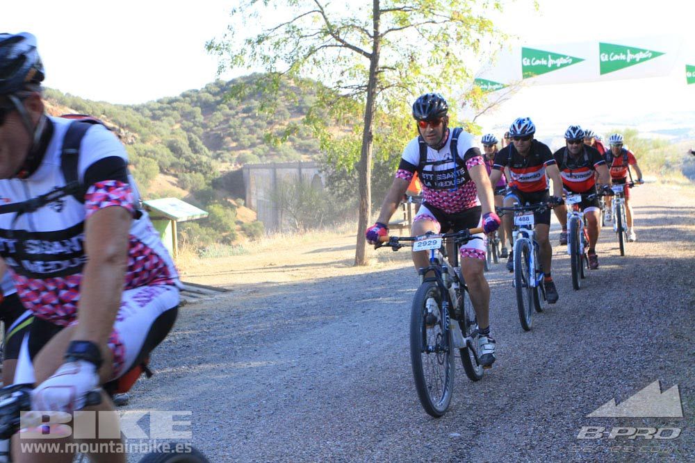 TALAJARA 2015 Galería 22
