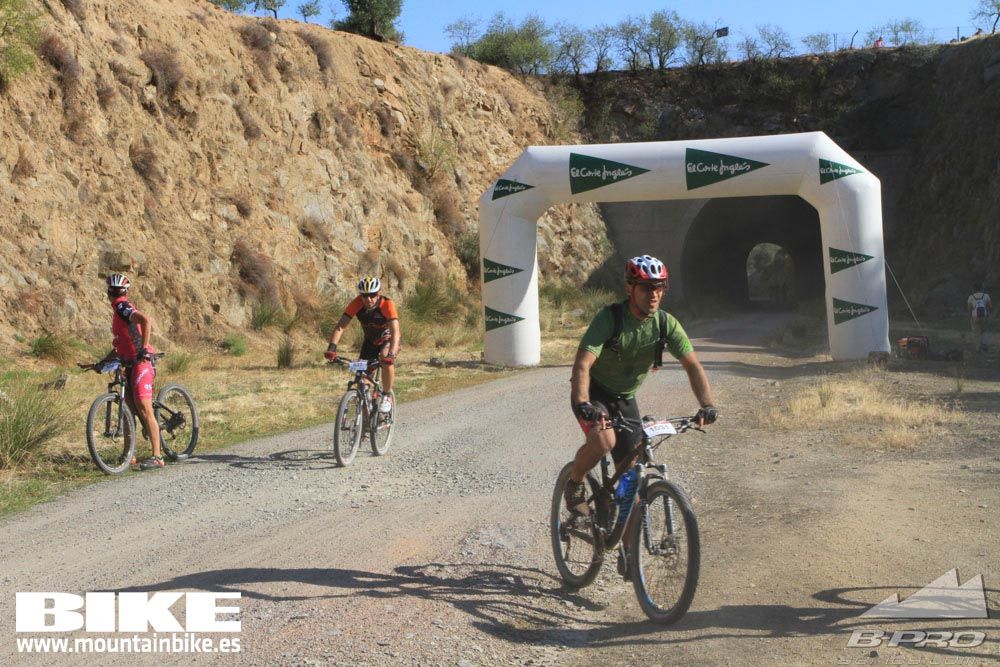 TALAJARA 2015 Galería 24