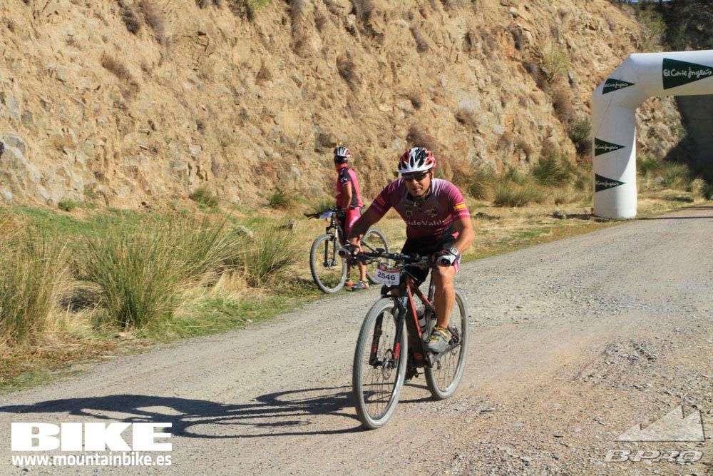 TALAJARA 2015 Galería 24