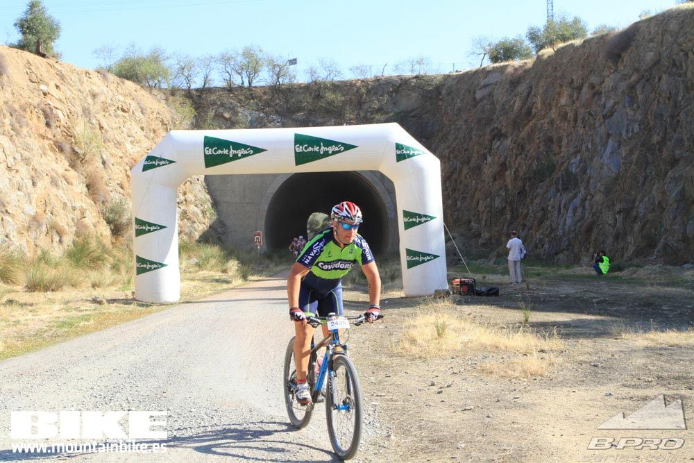 TALAJARA 2015 Galería 24