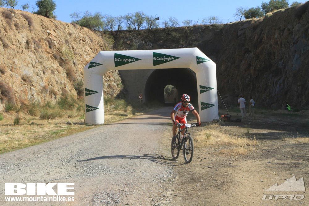 TALAJARA 2015 Galería 24