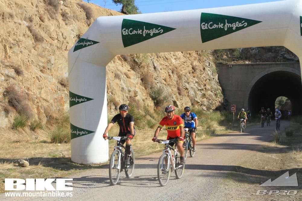 TALAJARA 2015 Galería 24