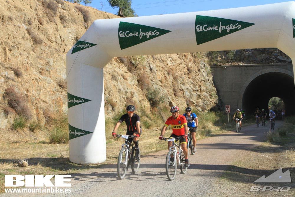 TALAJARA 2015 Galería 24