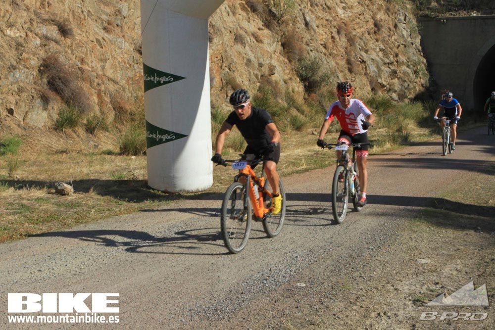 TALAJARA 2015 Galería 24