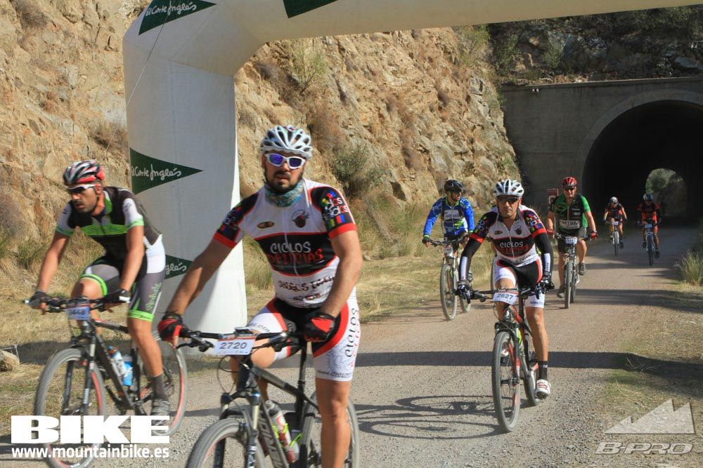 TALAJARA 2015 Galería 24