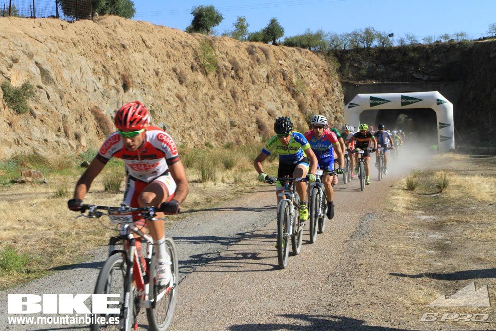 TALAJARA 2015 Galería 24