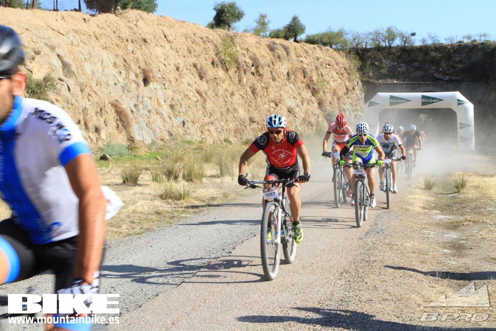 TALAJARA 2015 Galería 24