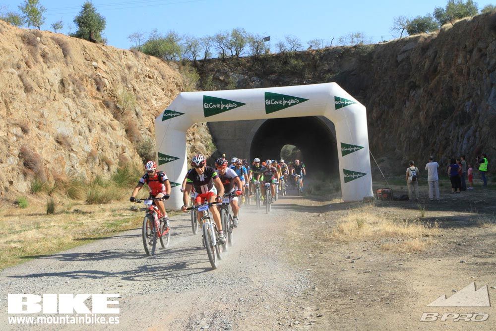 TALAJARA 2015 Galería 24