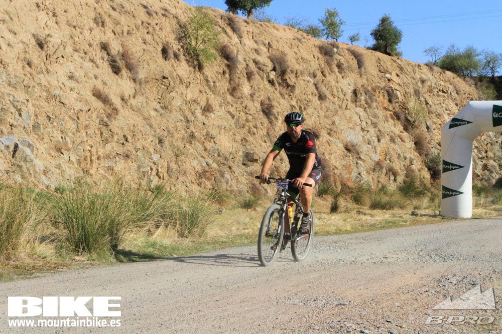 TALAJARA 2015 Galería 24