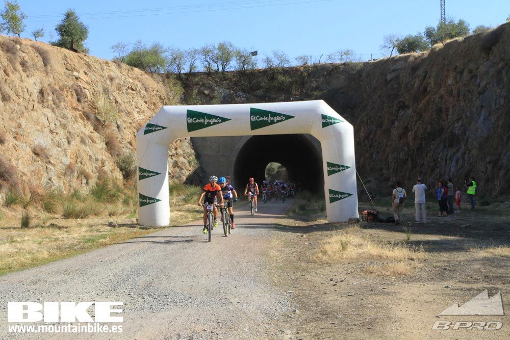 TALAJARA 2015 Galería 24